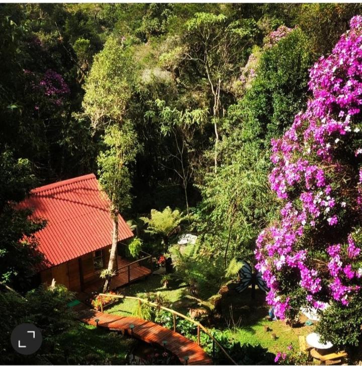 Chale Samambaia Villa Campos do Jordao Exterior photo